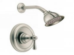 Various Design and Style of the Moen Shower Faucets: Great Moen
